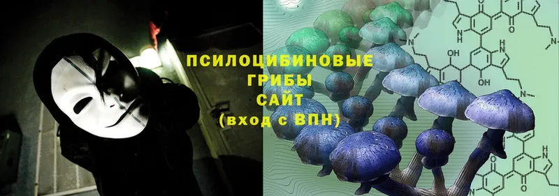 Галлюциногенные грибы Magic Shrooms  сколько стоит  Кольчугино 